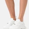 Steve Madden Belissimo - Sneakers Laag - White