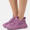 Steve Madden Possession - Sneakers Laag - Dark Lavender Paris